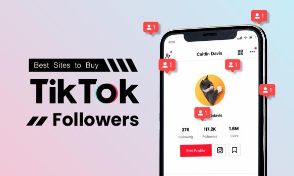 How to choose the right suppliers for the purchase of Tiktok followers ?