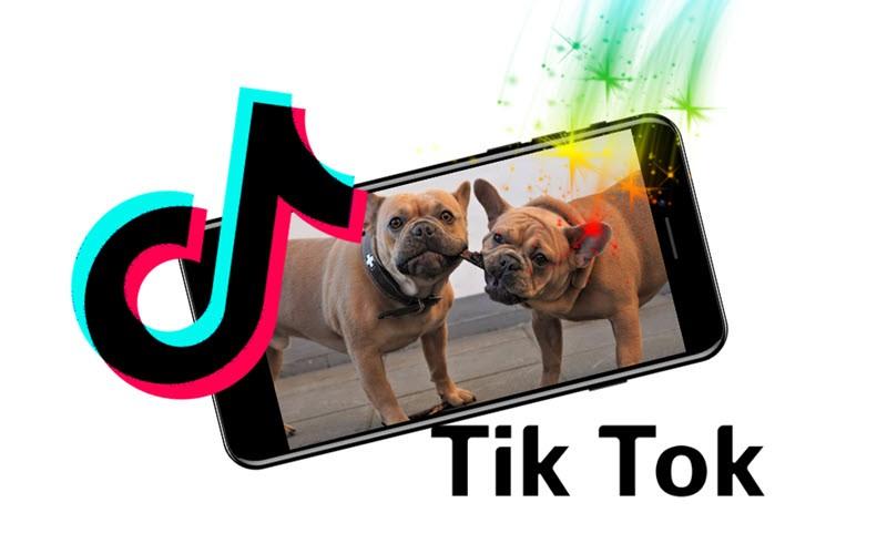 Comment créer un DUO sur TikTok ?